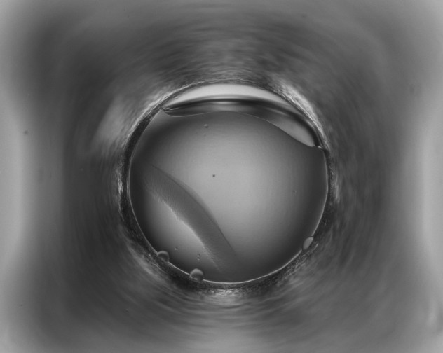 X0000087350059200704271426