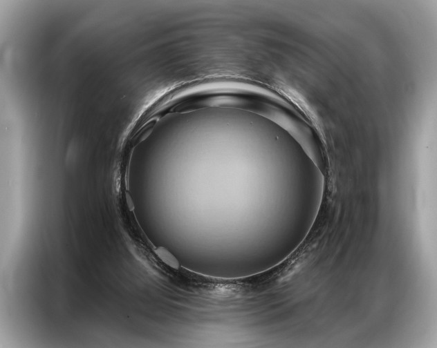 X0000087350060200704271427