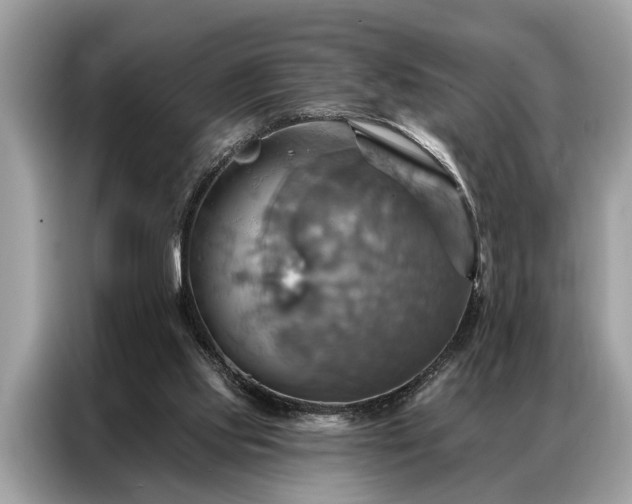 X0000087350061200704271427