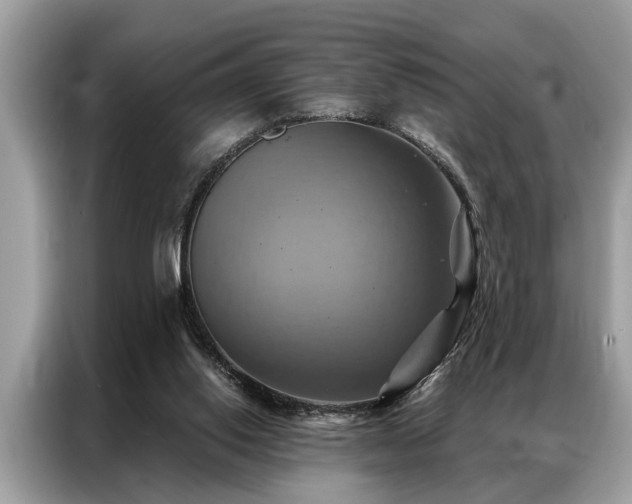 X0000087350062200704271427
