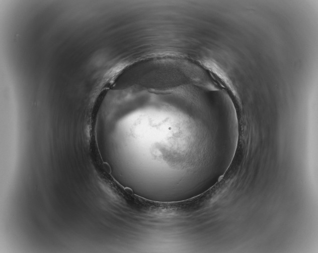 X0000087350063200704271427