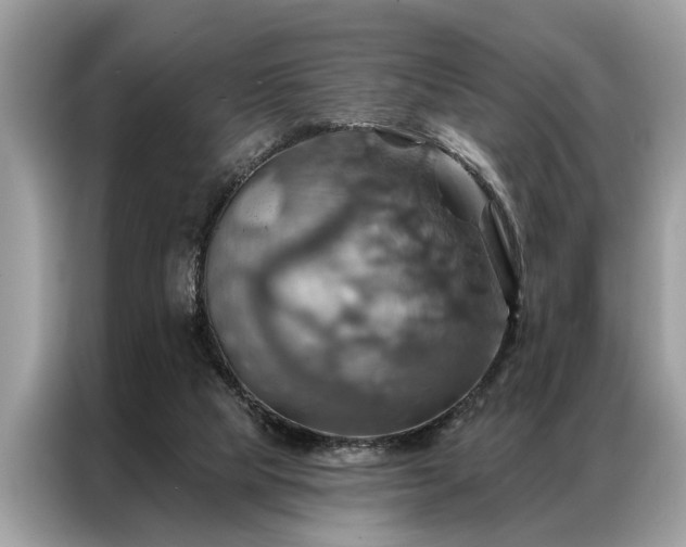 X0000087350065200704271427