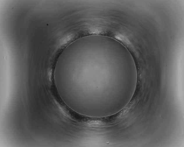 X0000087350066200704271427