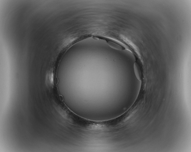 X0000087350067200704271427