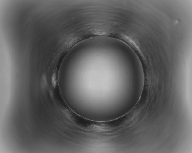 X0000087350069200704271427