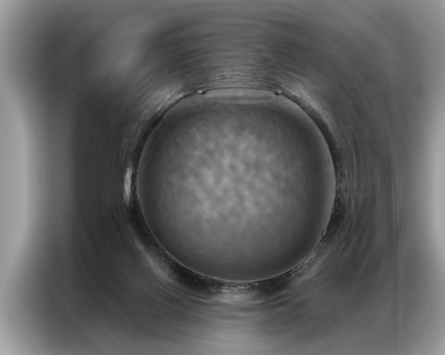 X0000087350070200704271427