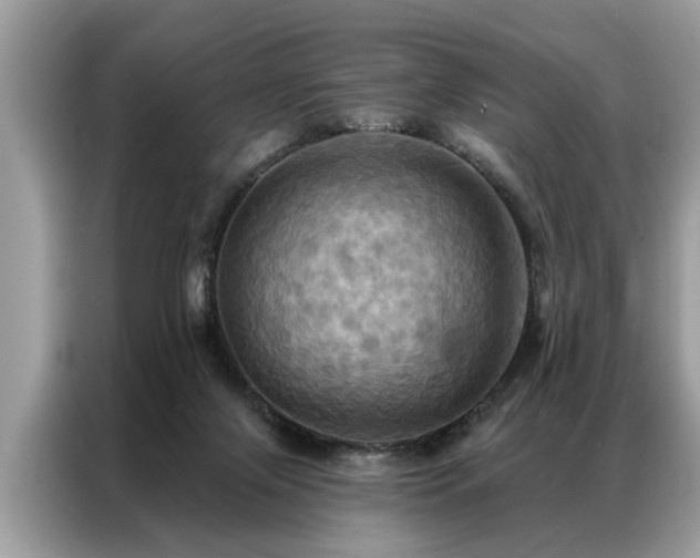 X0000087350071200704271427