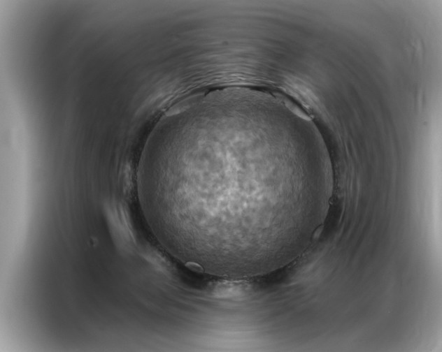 X0000087350077200704271427