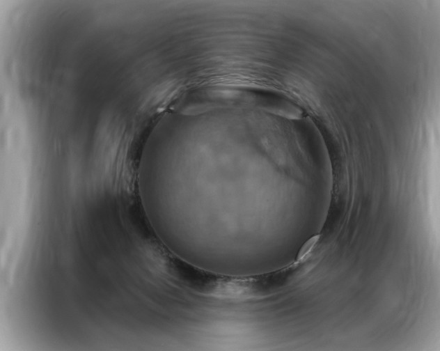 X0000087350078200704271427