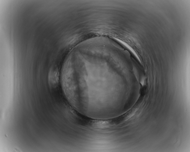 X0000087350081200704271427