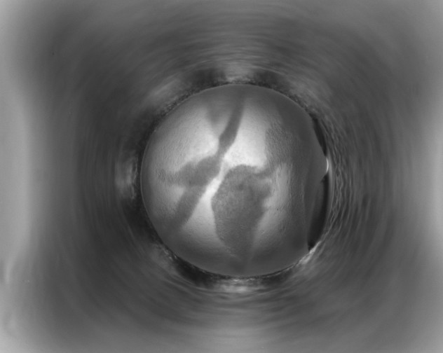 X0000087350082200704271427