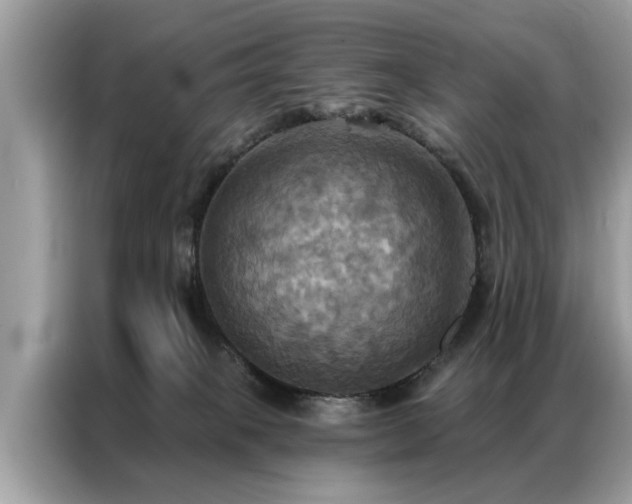 X0000087350085200704271427