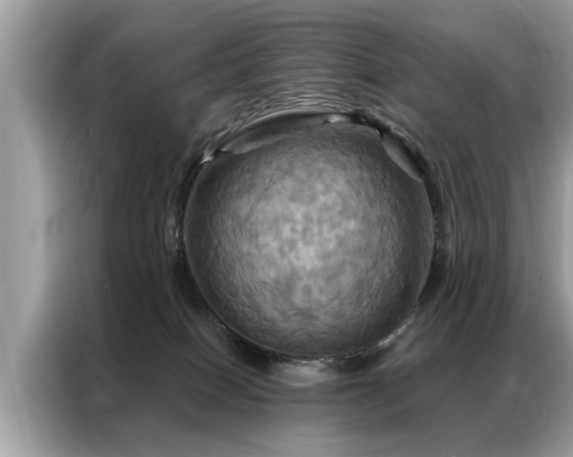 X0000087350086200704271427