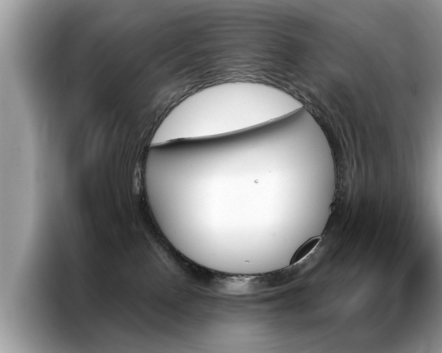 X0000087350090200704271427