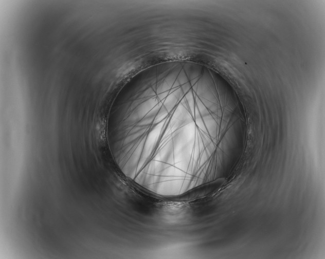 X0000087350096200704271427