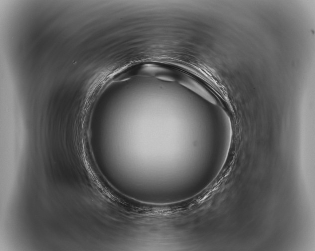 X0000087350097200704271426