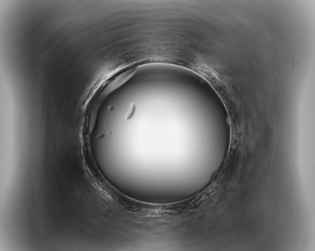 X0000087350098200704271426