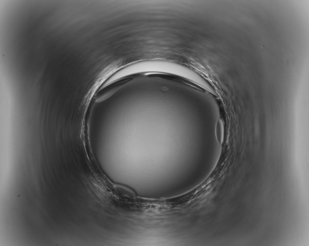 X0000087350099200704271426