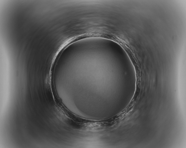 X0000087350100200704271426
