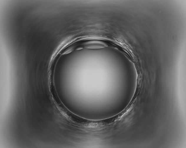 X0000087350101200704271426