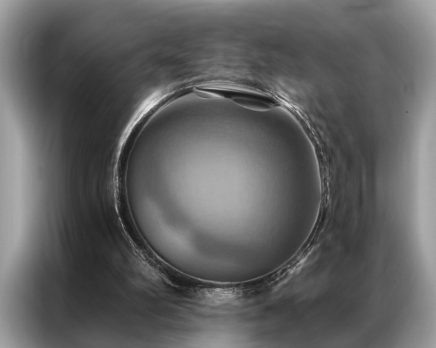 X0000087350102200704271426