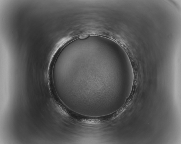 X0000087350104200704271426