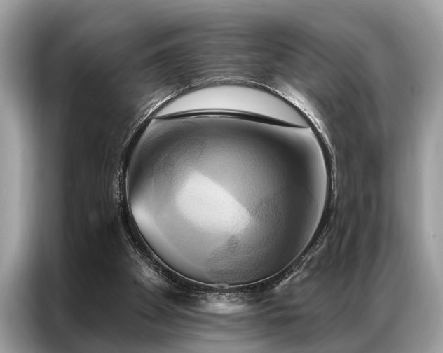 X0000087350105200704271426