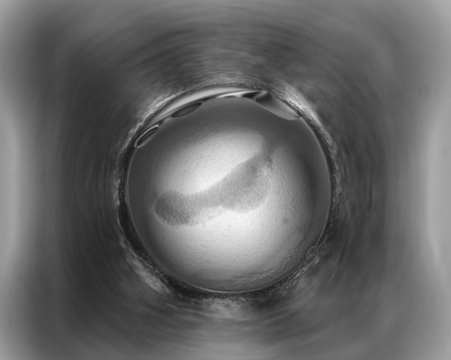 X0000087350106200704271426