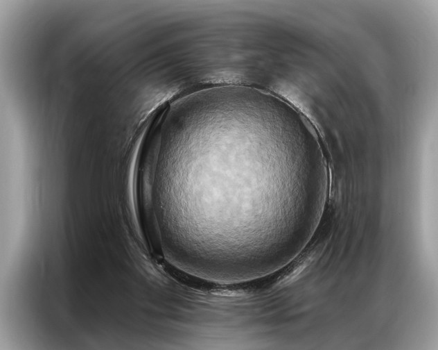 X0000087350109200704271426