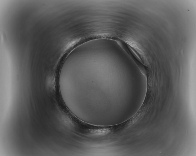 X0000087350112200704271426