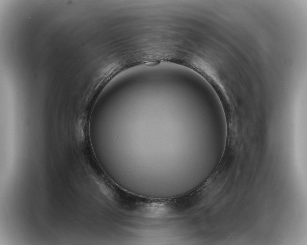 X0000087350114200704271426