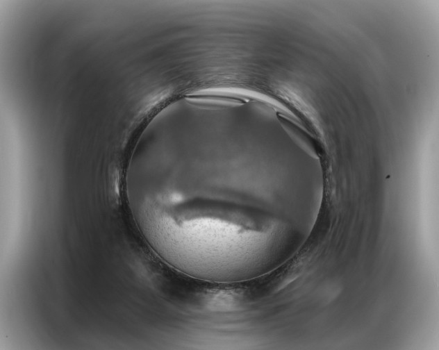 X0000087350115200704271426