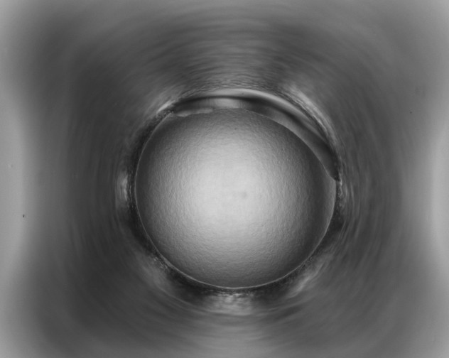 X0000087350117200704271426