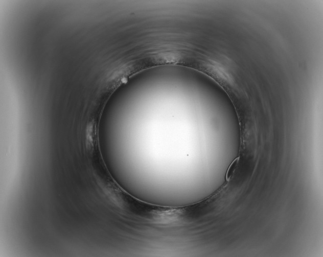 X0000087350122200704271426