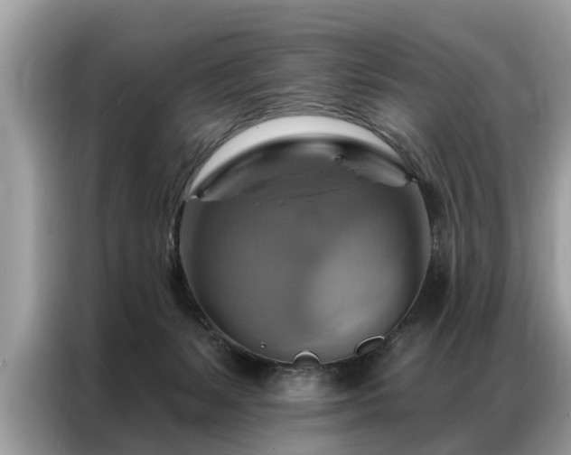 X0000087350127200704271426
