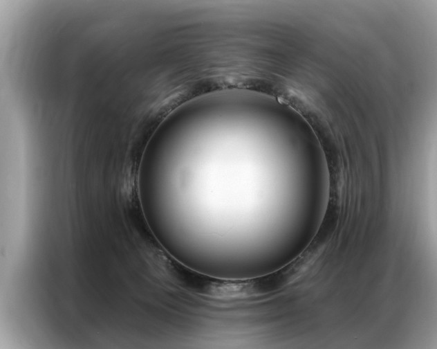X0000087350129200704271426