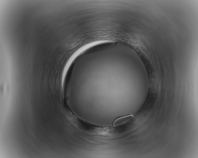 X0000087350131200704271426