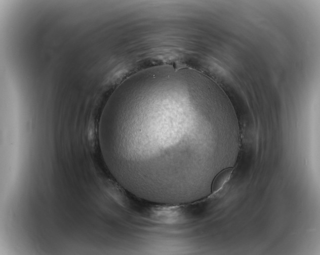 X0000087350132200704271426