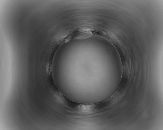 X0000087350134200704271426