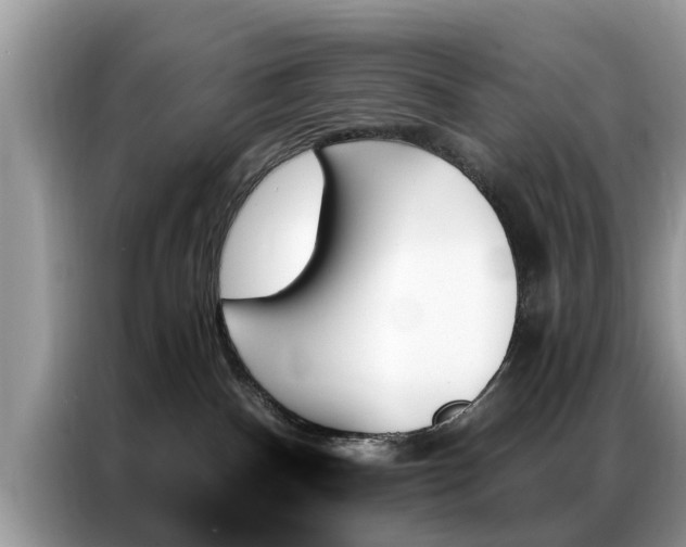 X0000087350140200704271426