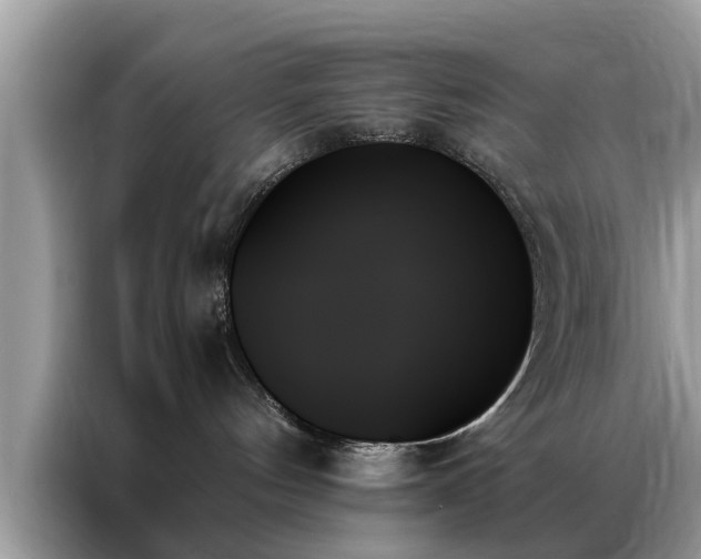X0000087350144200704271426