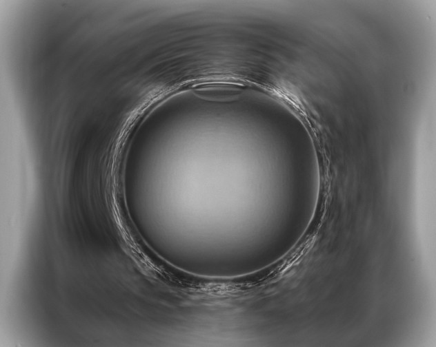 X0000087350145200704271425