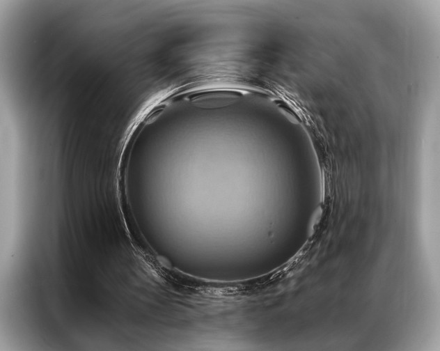 X0000087350147200704271425