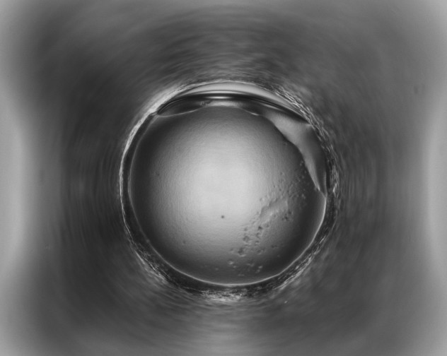 X0000087350148200704271425