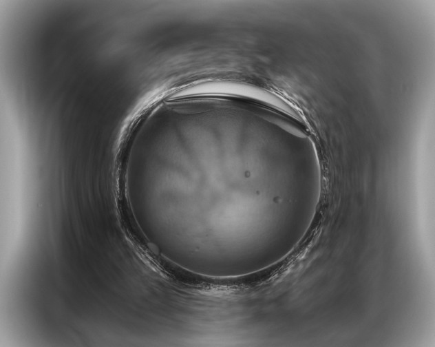 X0000087350149200704271425