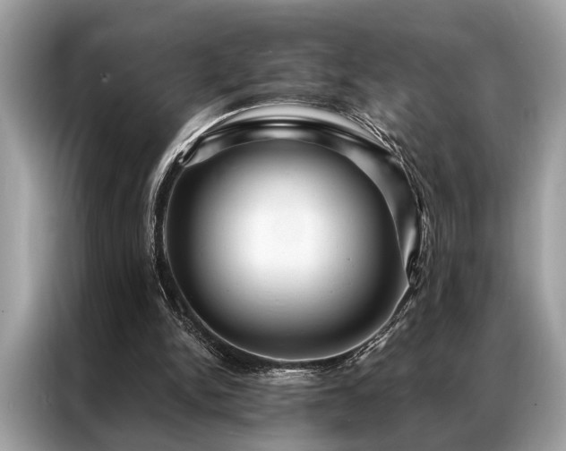X0000087350150200704271425