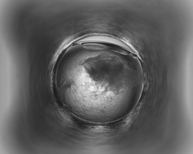 X0000087350151200704271425