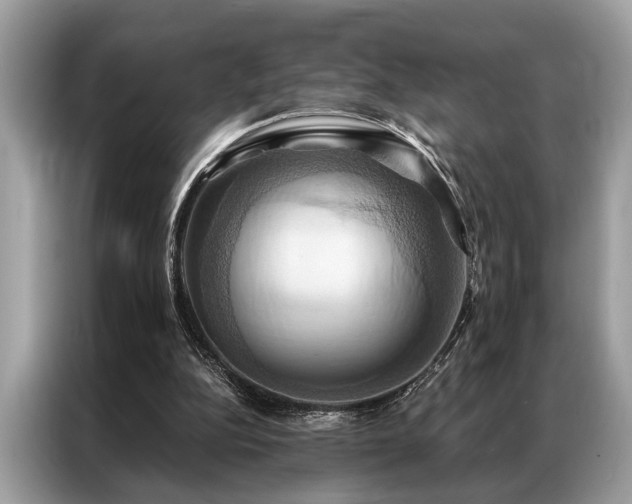 X0000087350152200704271425