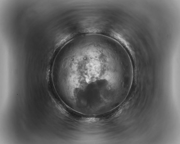 X0000087350153200704271425