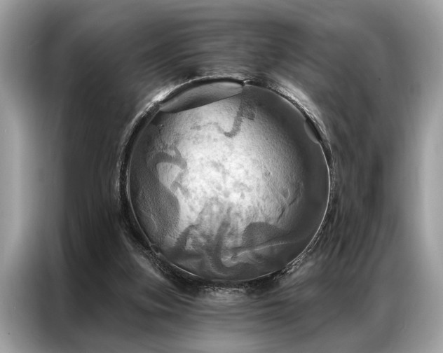 X0000087350155200704271425